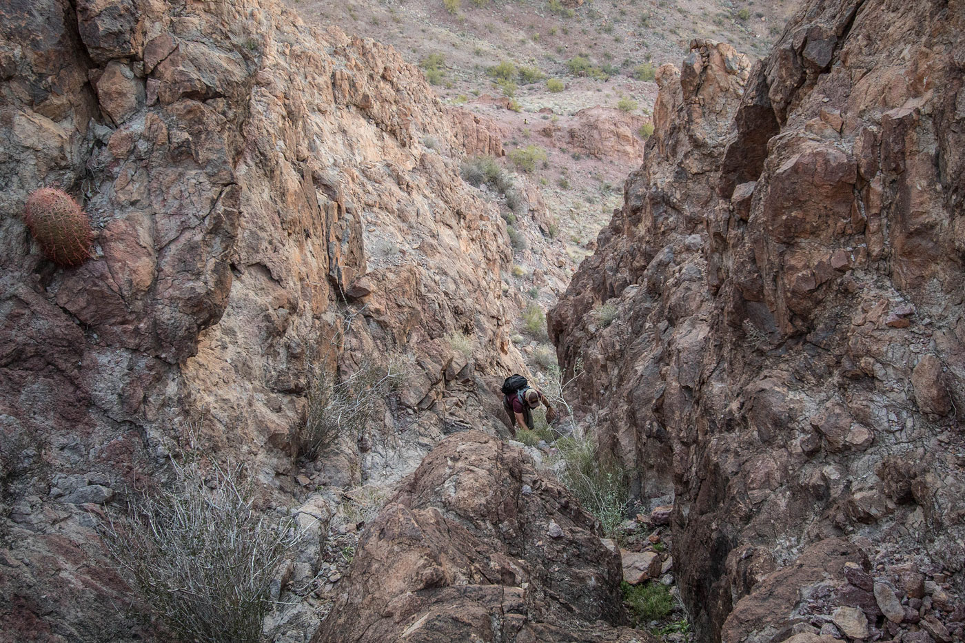 Hike North Star Peak in Kofa National Wildlife Refuge, Arizona - Stav is Lost