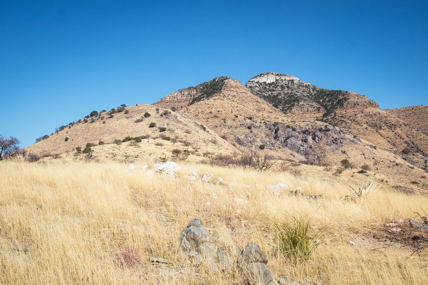 Hike Mae West Peak via West Ridge in Little Dragoon Mountains BLM, Arizona - Stav is Lost