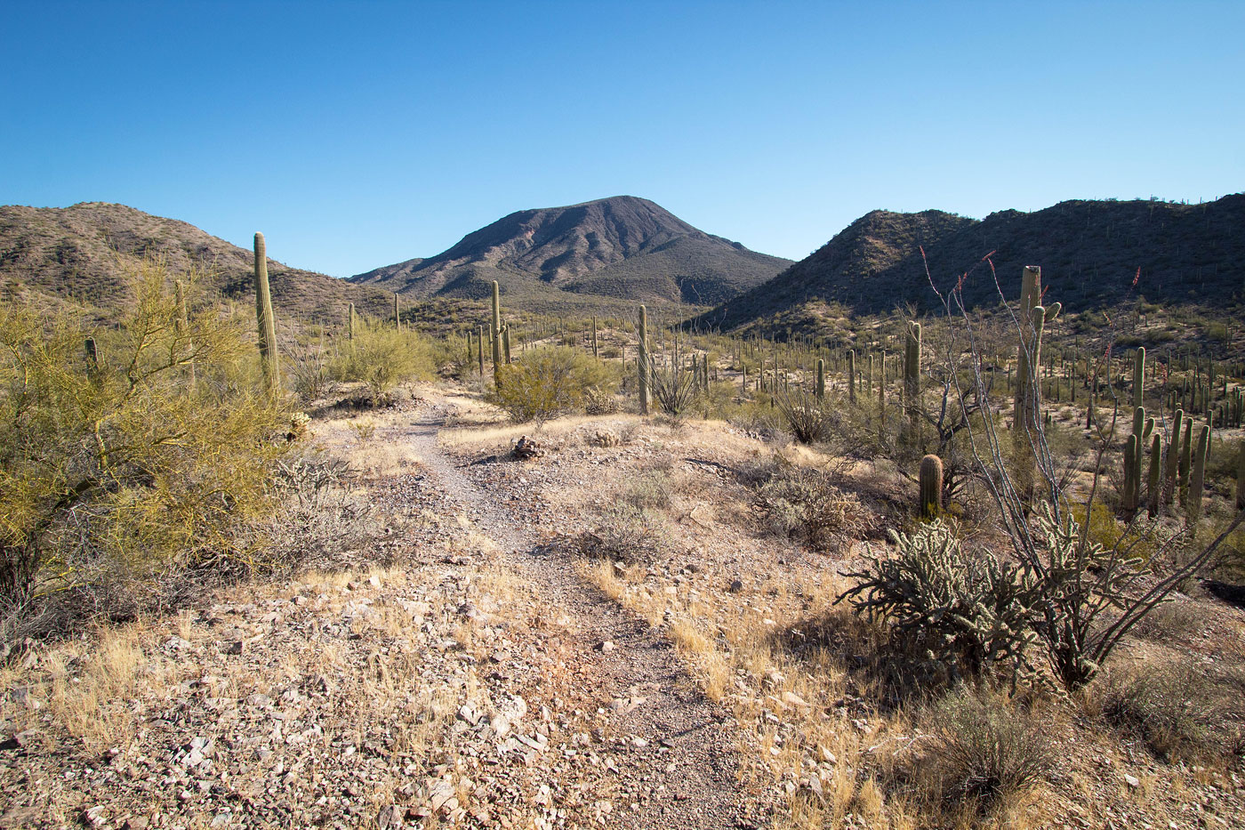 Hiking Table Top Mountain in Sonoran Desert National Monument, Arizona