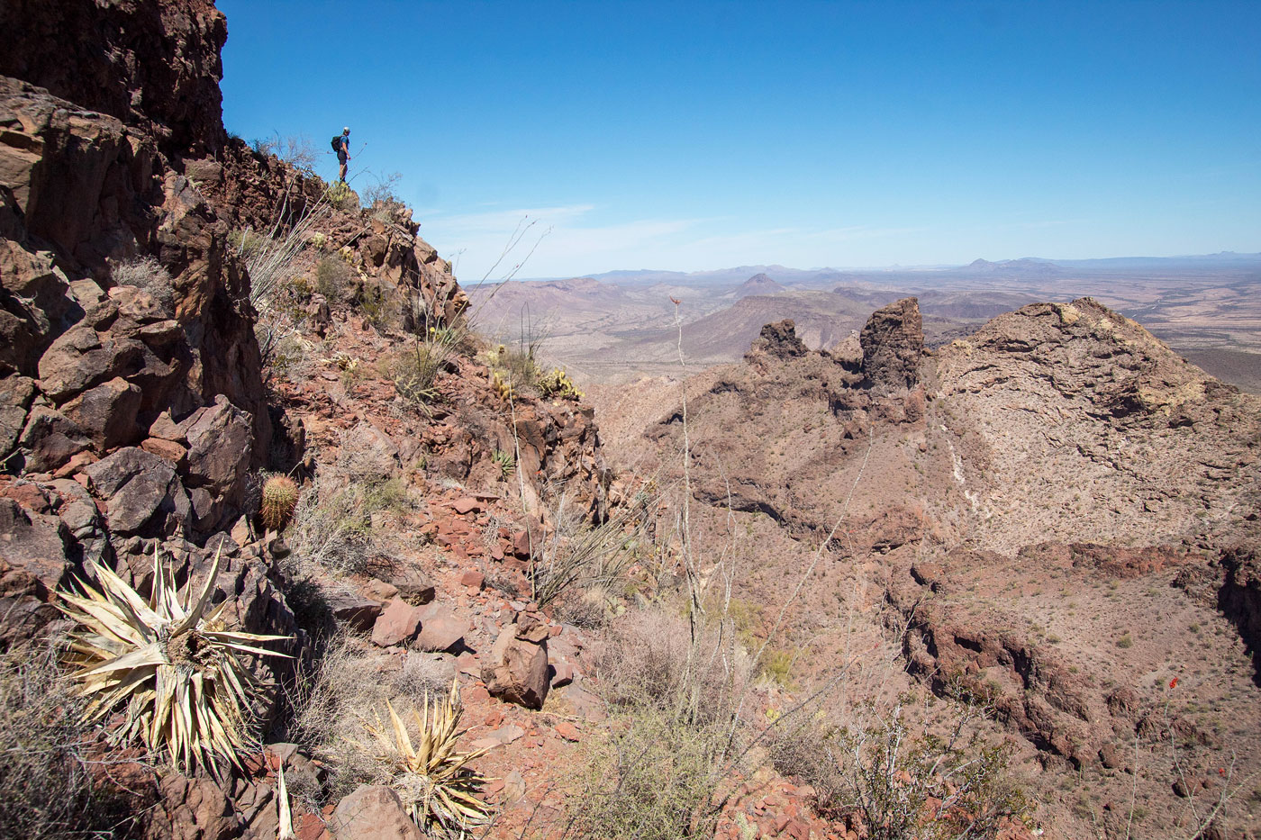 Hike Kino Peak in Organ Pipe Cactus National Monument, Arizona - Stav is Lost