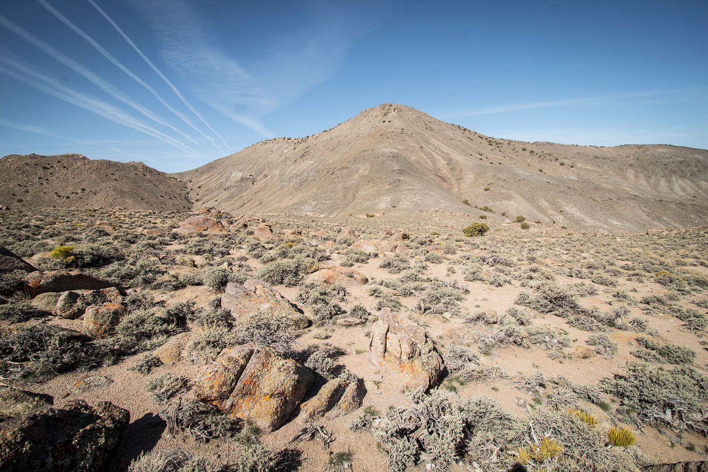 Hike Garfield Hills Loop in Garfield Hills BLM, Nevada - Stav is Lost