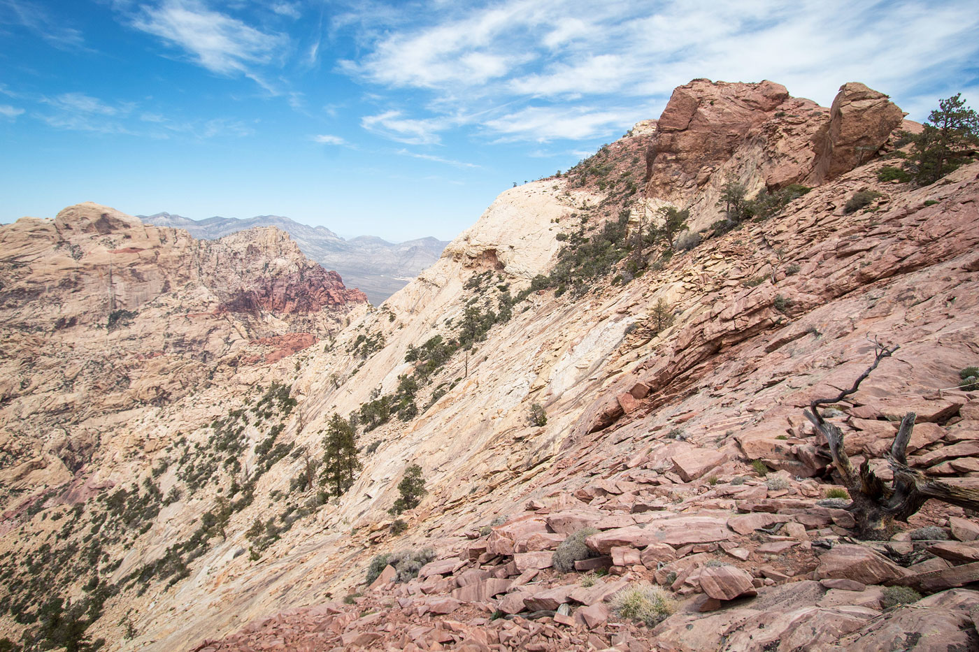 Hike Rainbow Wall via Pine Creek and Oak Creek Loop in Red Rock Canyon National Conservation Area, Nevada - Stav is Lost