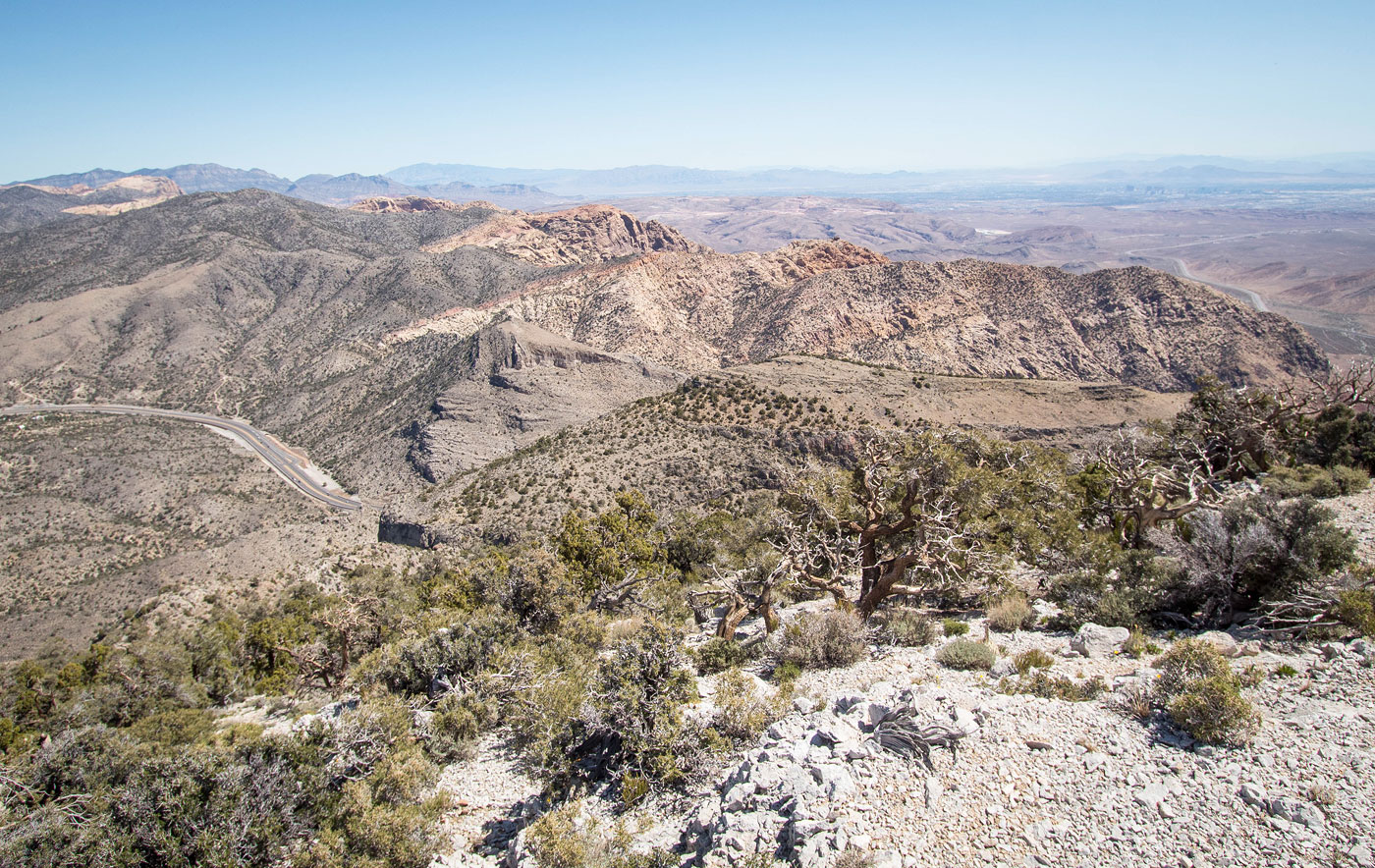 Hike North Potosi Peak in Spring Mountains National Recreation Area, Nevada - Stav is Lost