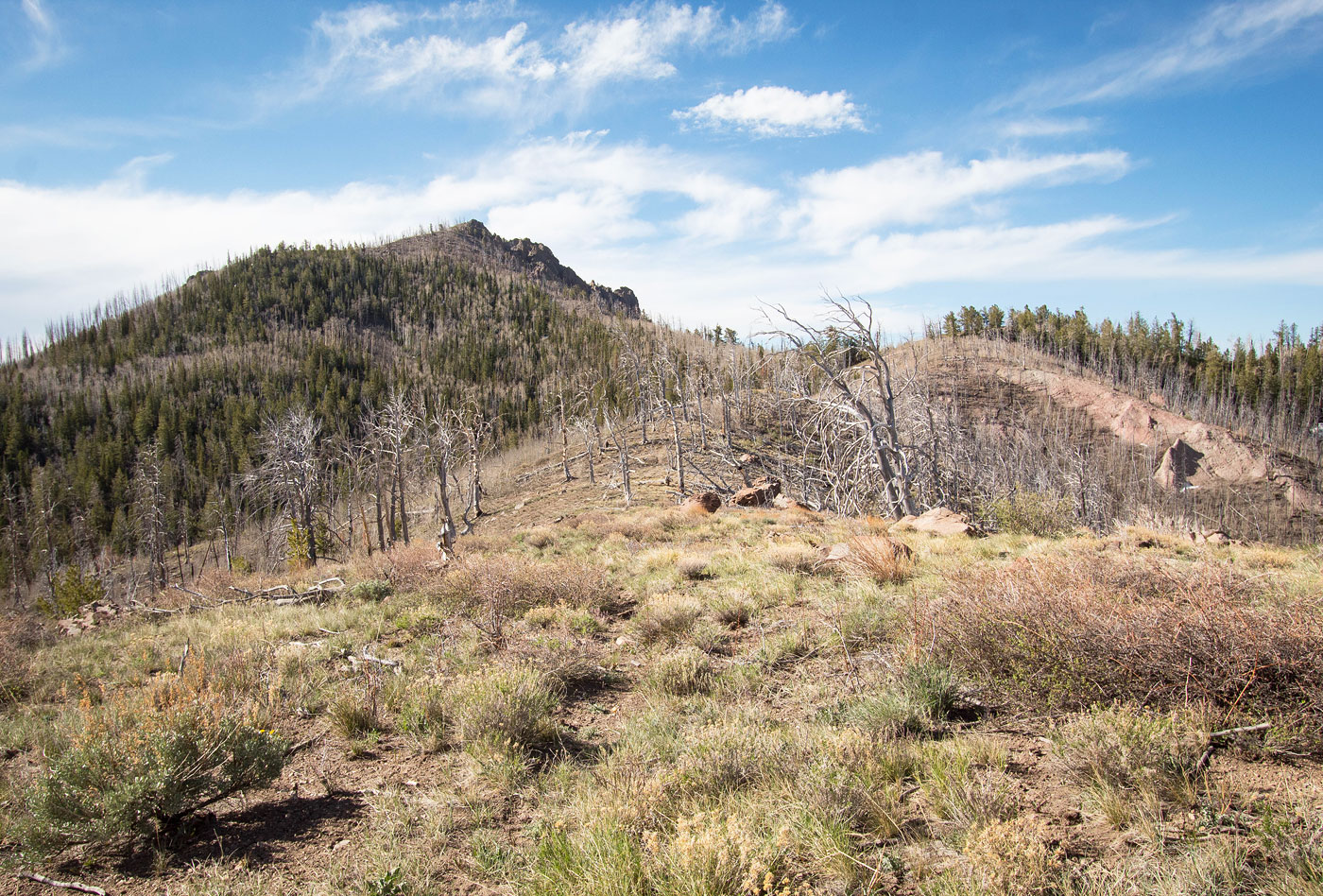 Hike Adams Head in Dixie National Forest, Utah - Stav is Lost