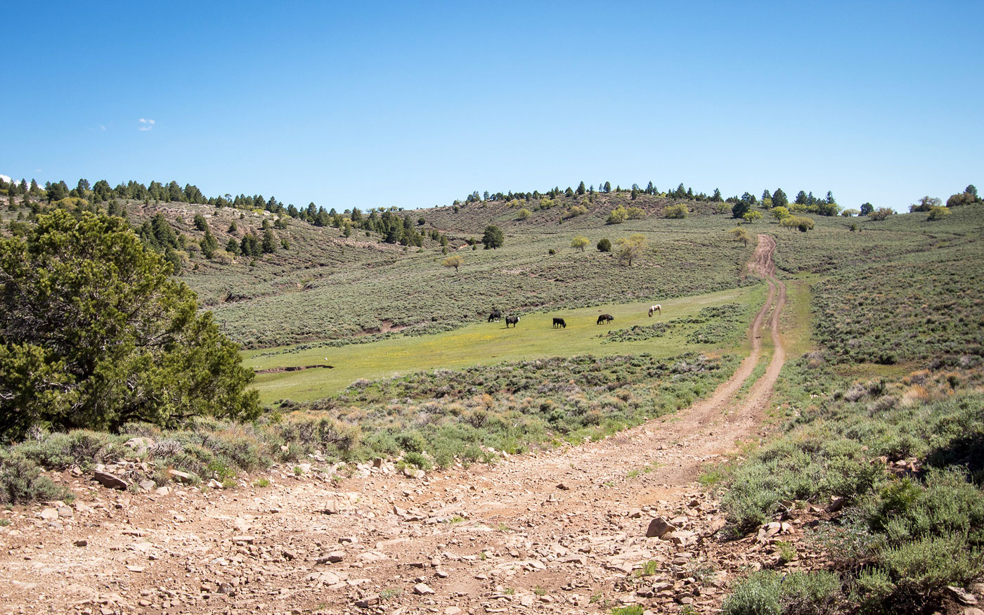 Hike Pastora Peak in Navajo Nation, Arizona - Stav is Lost