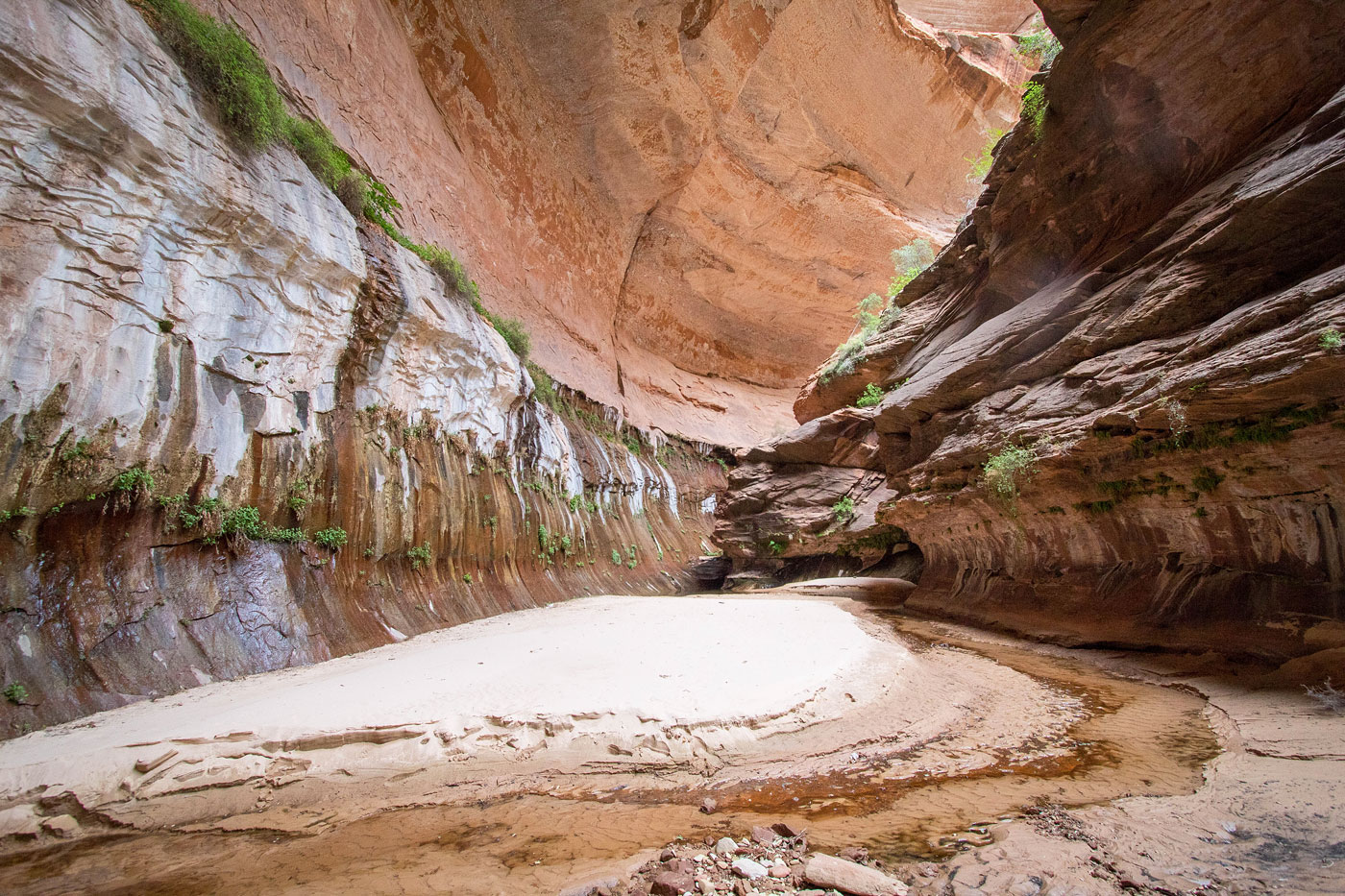 Canyoneer Right Fork of North Creek (Direct) in Zion National Park, Utah - Stav is Lost