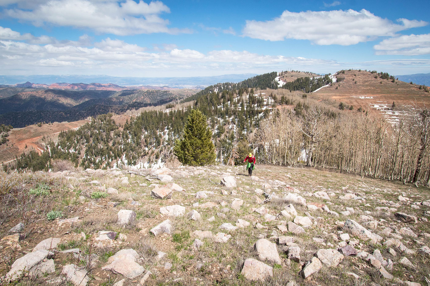 Hike Mine Camp Peak via Bear Canyon in Fishlake National Forest, Utah - Stav is Lost