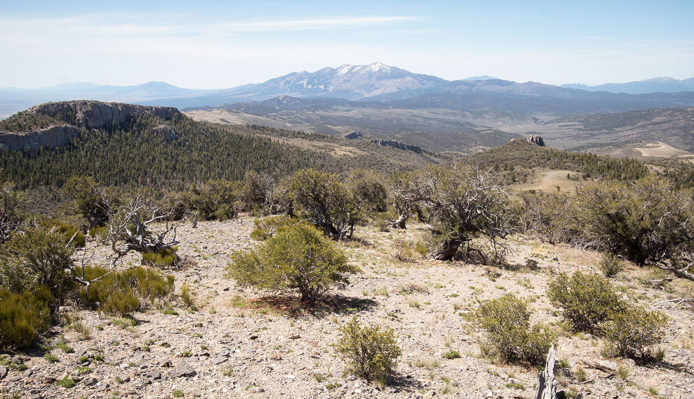 Hike Major Benchmark West in Schell Creek Range BLM, Nevada - Stav is Lost