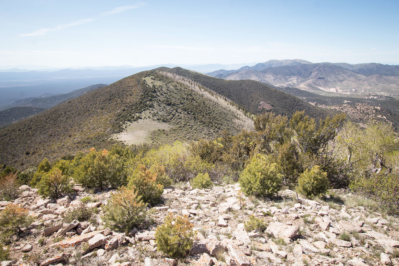 Hike Parsnip Peak in Parsnip Peak Wilderness Area BLM, Nevada - Stav is Lost