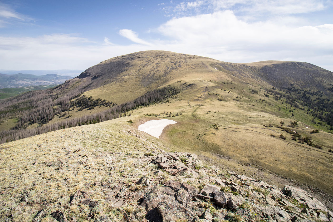 Hike Sheep Mountain, Bennett Peak, Windy Mountain Loop in Rio Grande National Forest, Colorado - Stav is Lost