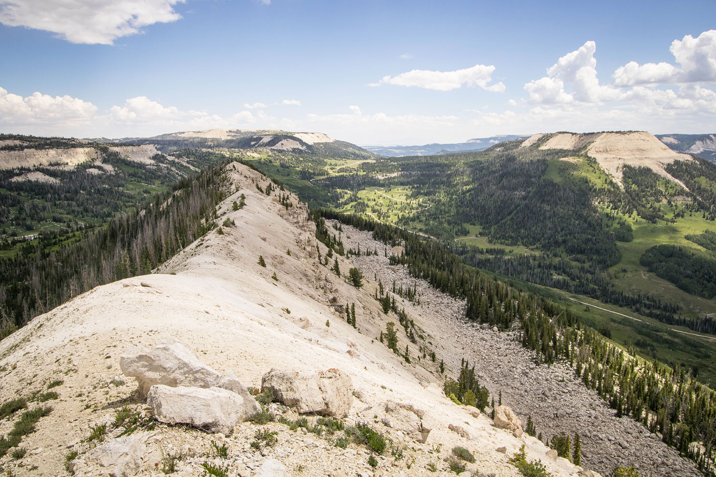 Hike Mount Baldy, Black Mountain, High Top, Heliotrope Mountain Loop in Manti-La Sal National Forest, Utah - Stav is Lost