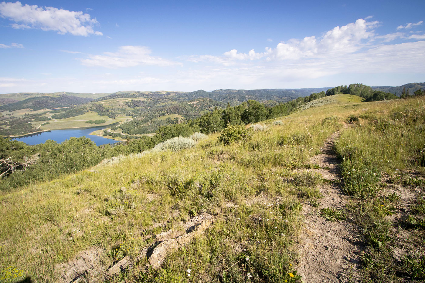 Hike Candland Mountain in Manti-La Sal National Forest, Utah - Stav is Lost