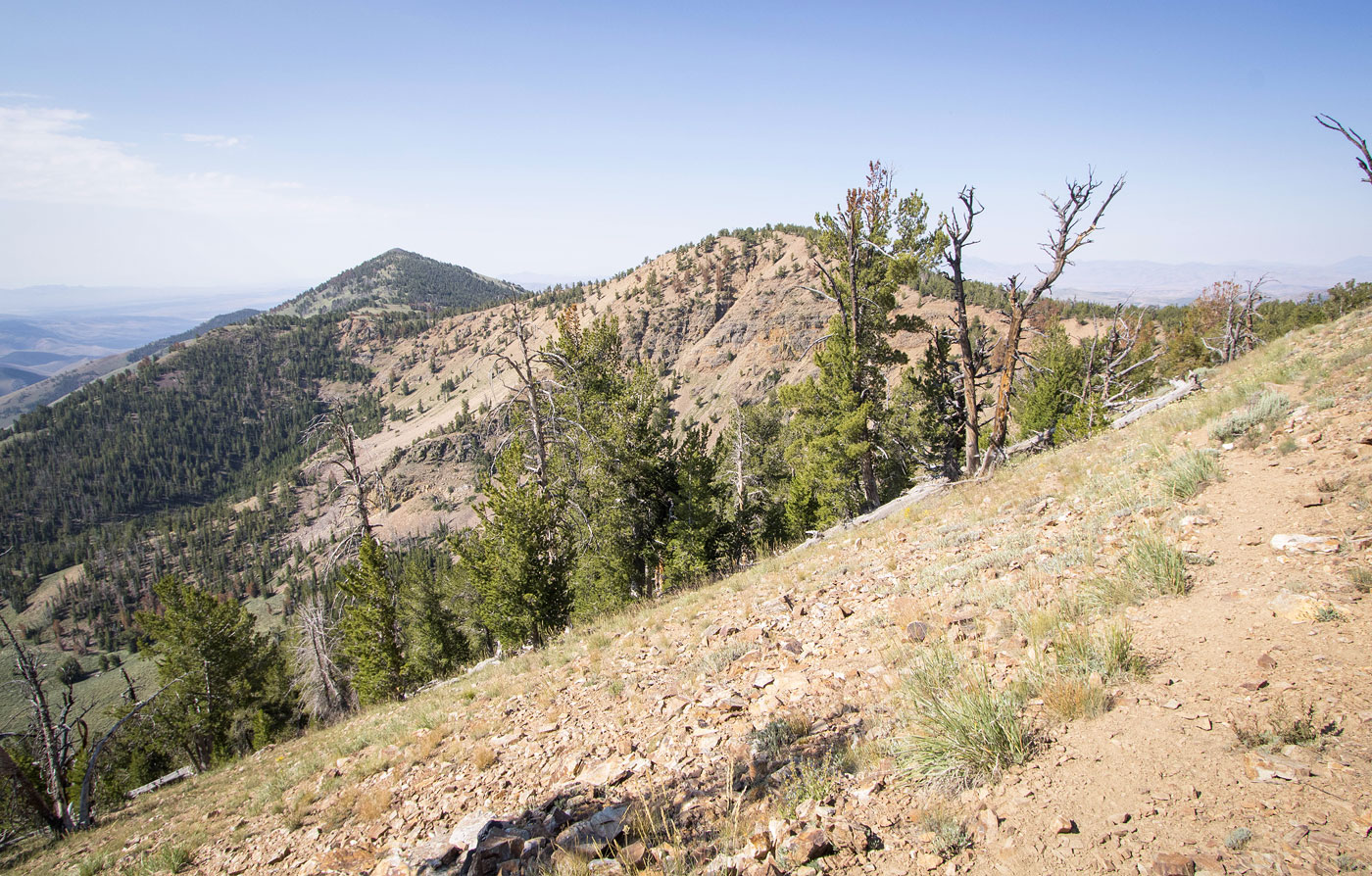 Hike Copper Mountain and Silver Mountain Loop in Humboldt-Toiyabe National Forest, Nevada - Stav is Lost