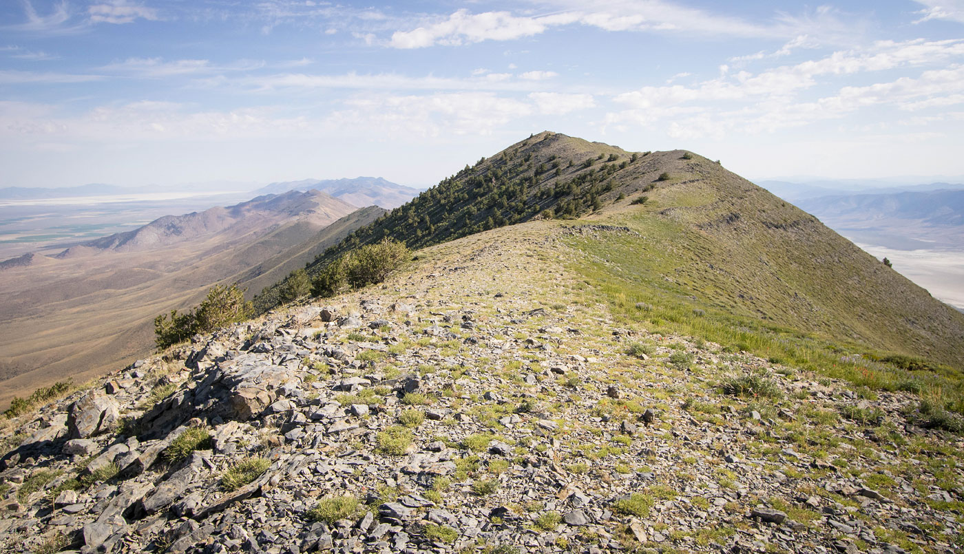 Hike Diamond Peak in Diamond Range BLM, Nevada - Stav is Lost
