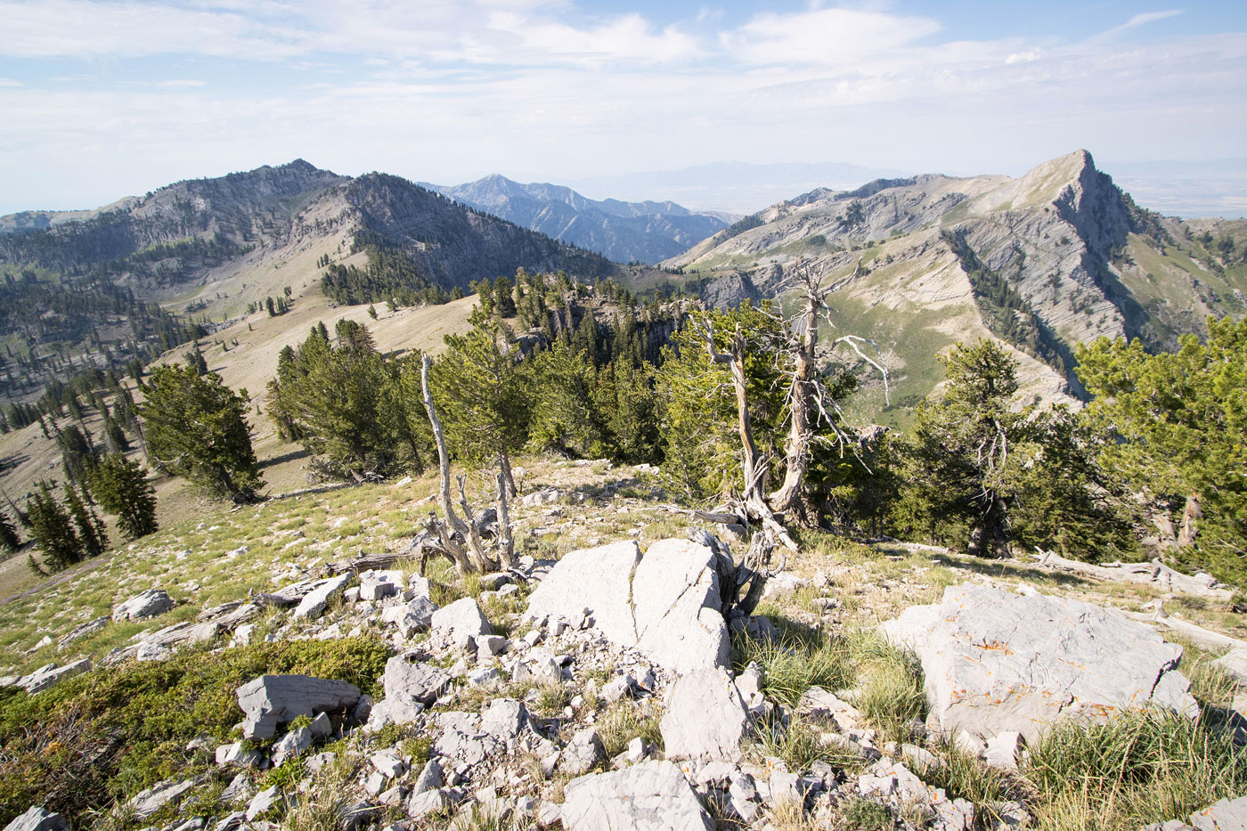 Hike Mount Magog, Naomi Peak, Mount Gog, White Pine Lake in Uinta-Wasatch-Cache National Forest, Utah - Stav is Lost