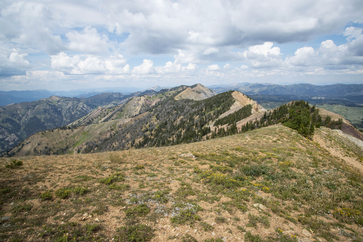 Hike Mount McDougal in Bridger-Teton National Forest, Wyoming - Stav is Lost