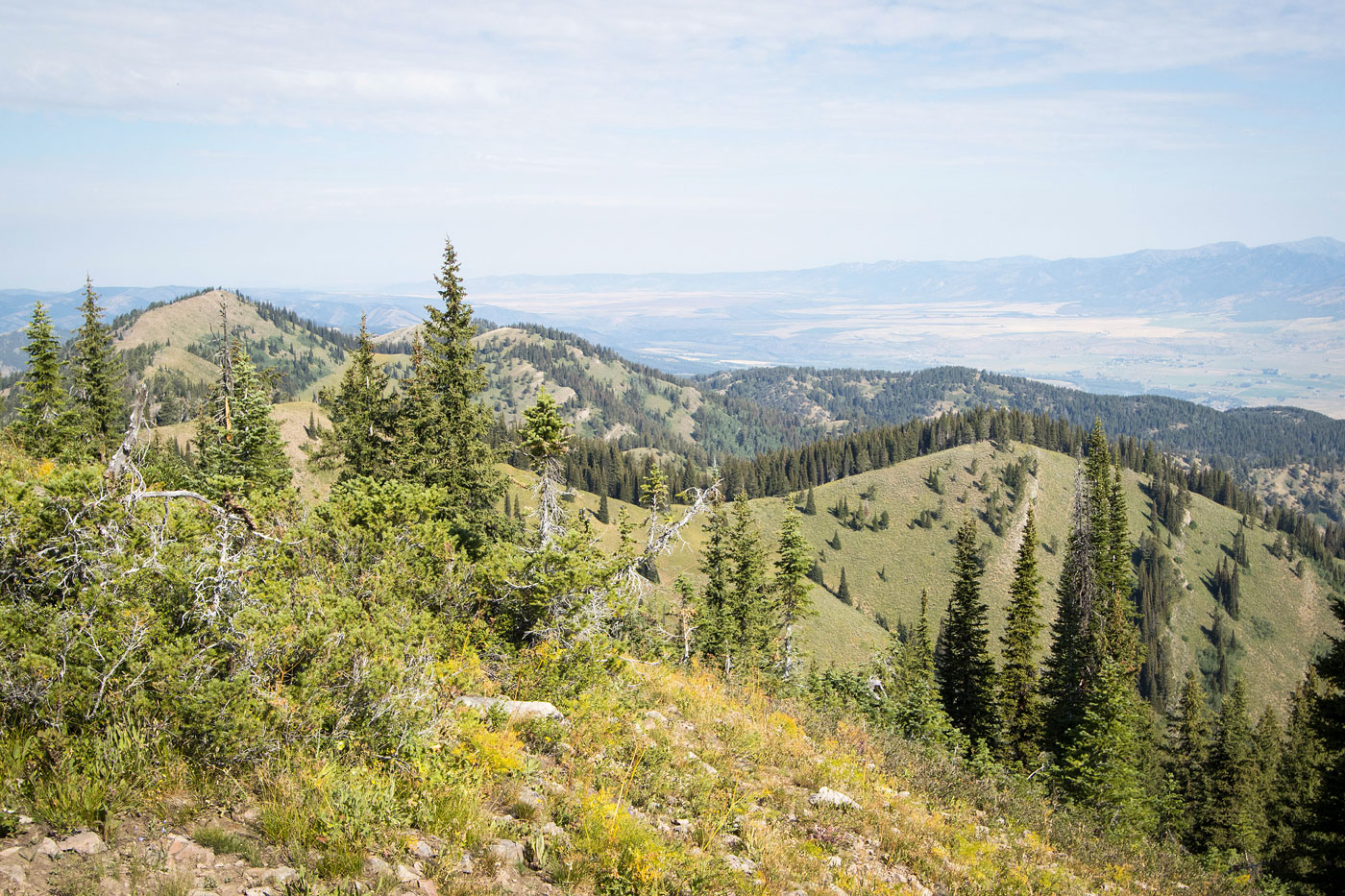 Hike Red Ridge via Russell Creek Trail in Caribou-Targhee National Forest, Idaho - Stav is Lost