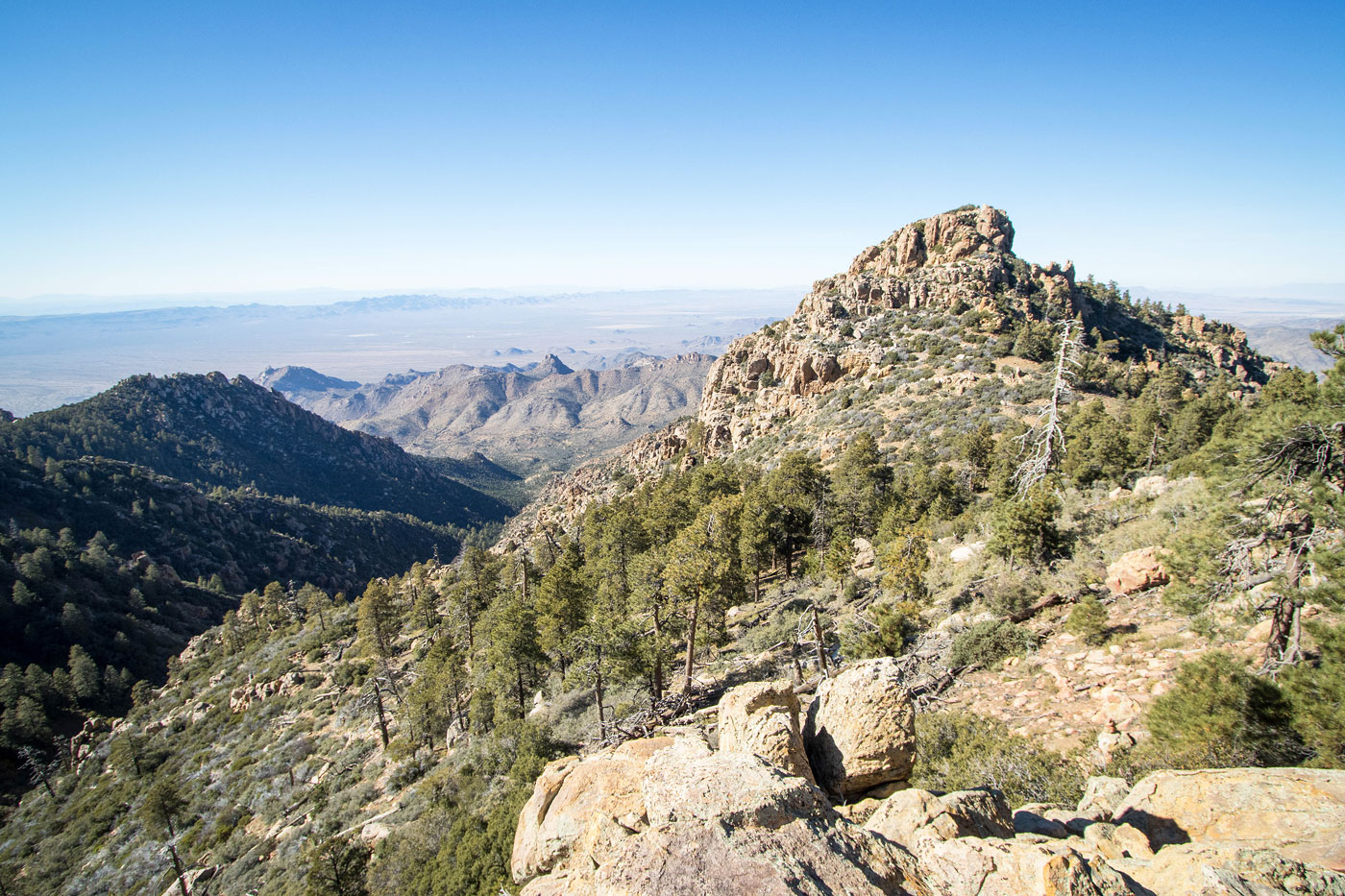 Hike Wabayuma Peak in Wabayuma Peak Wilderness Area, Arizona - Stav is Lost