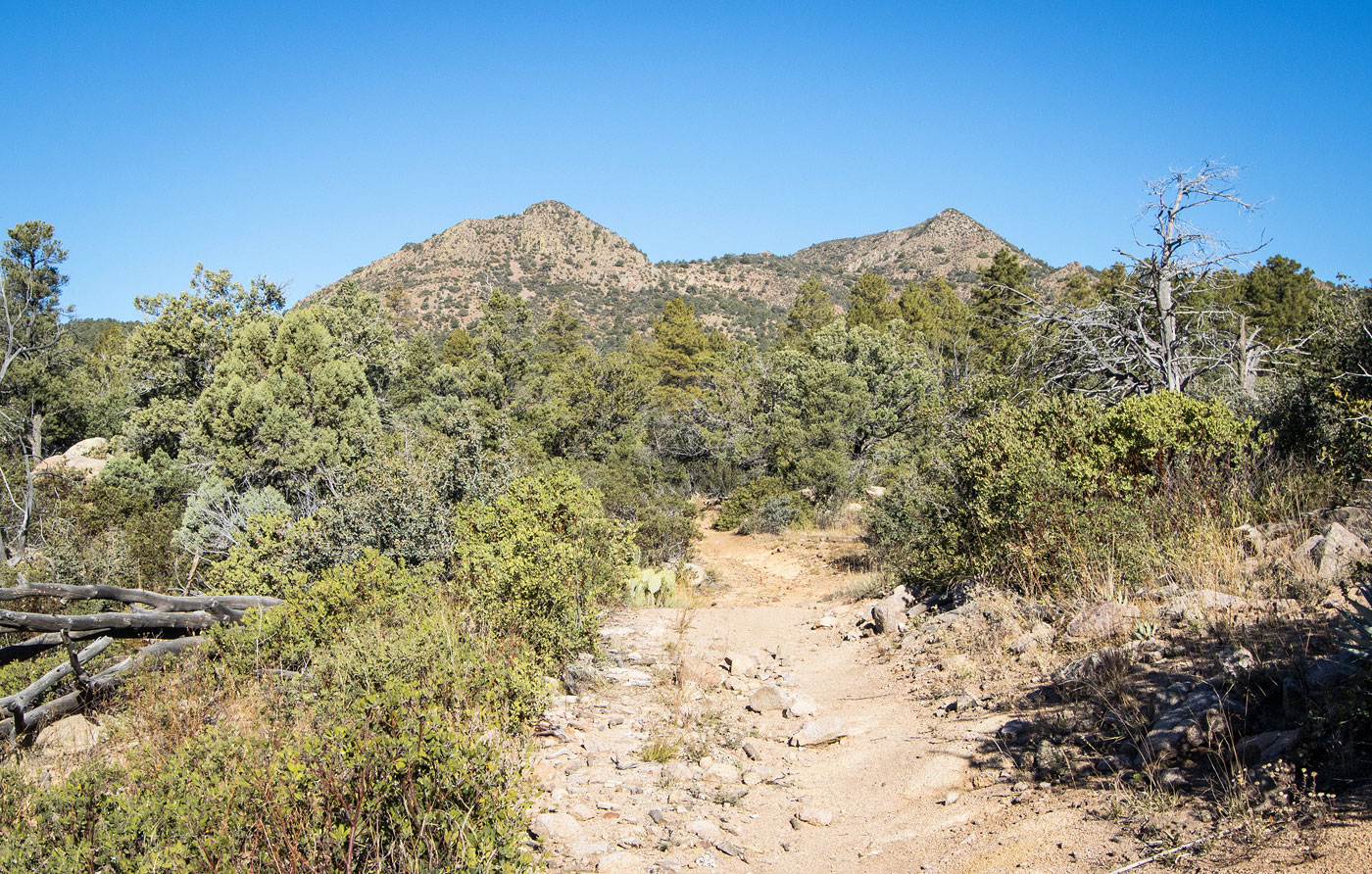 Hike Hyde Mountain in Prescott National Forest, Arizona - Stav is Lost
