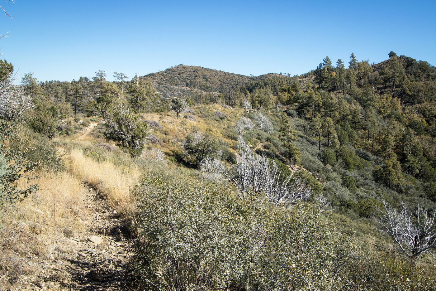 Hike West Spruce Mountain in Prescott National Forest, Arizona - Stav is Lost