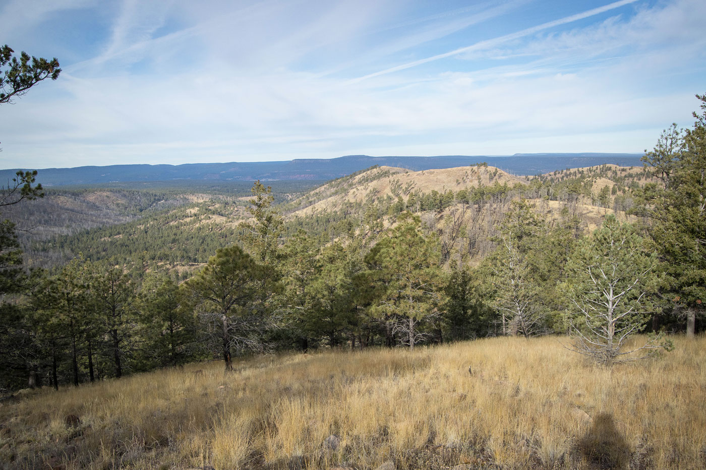 Hike Mount Sedgewick in Cibola National Forest, New Mexico - Stav is Lost