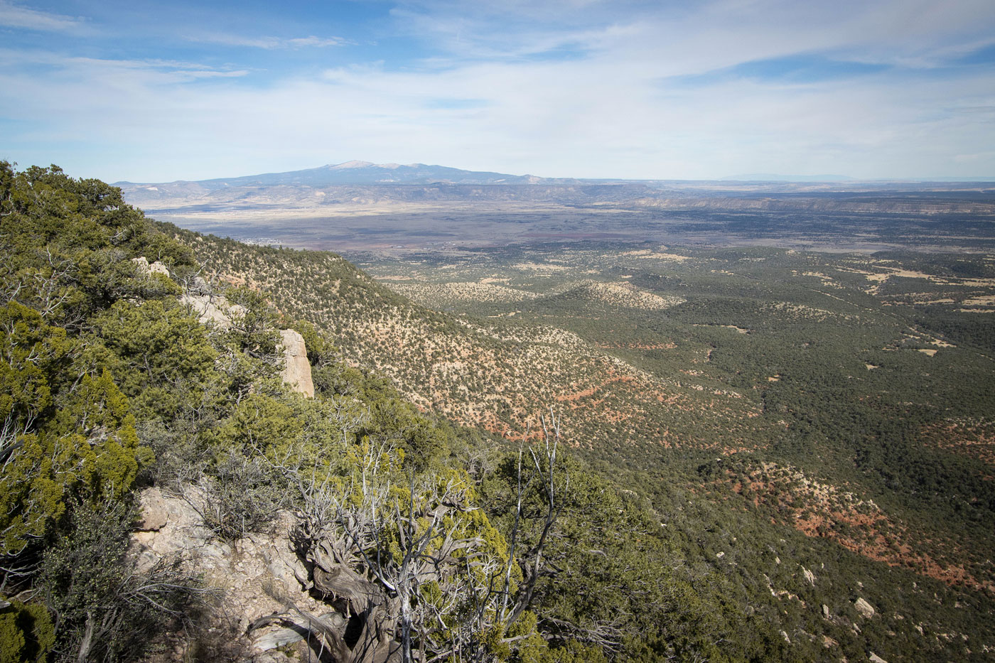 Hike Gallo Peak in Cibola National Forest, New Mexico - Stav is Lost