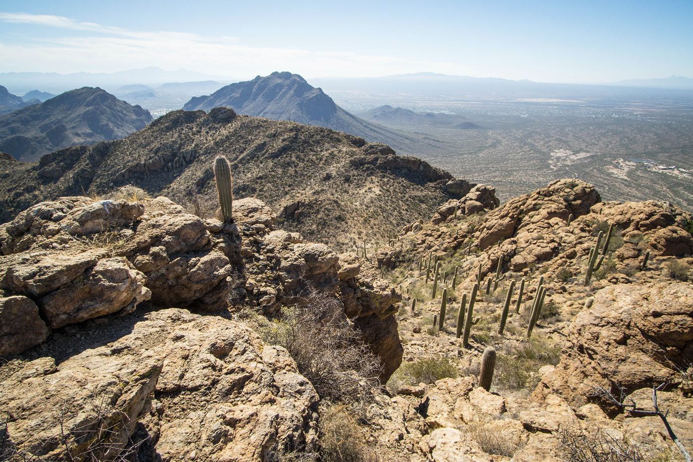 Hike Tower Peak in Tucson Mountain Park, Arizona - Stav is Lost