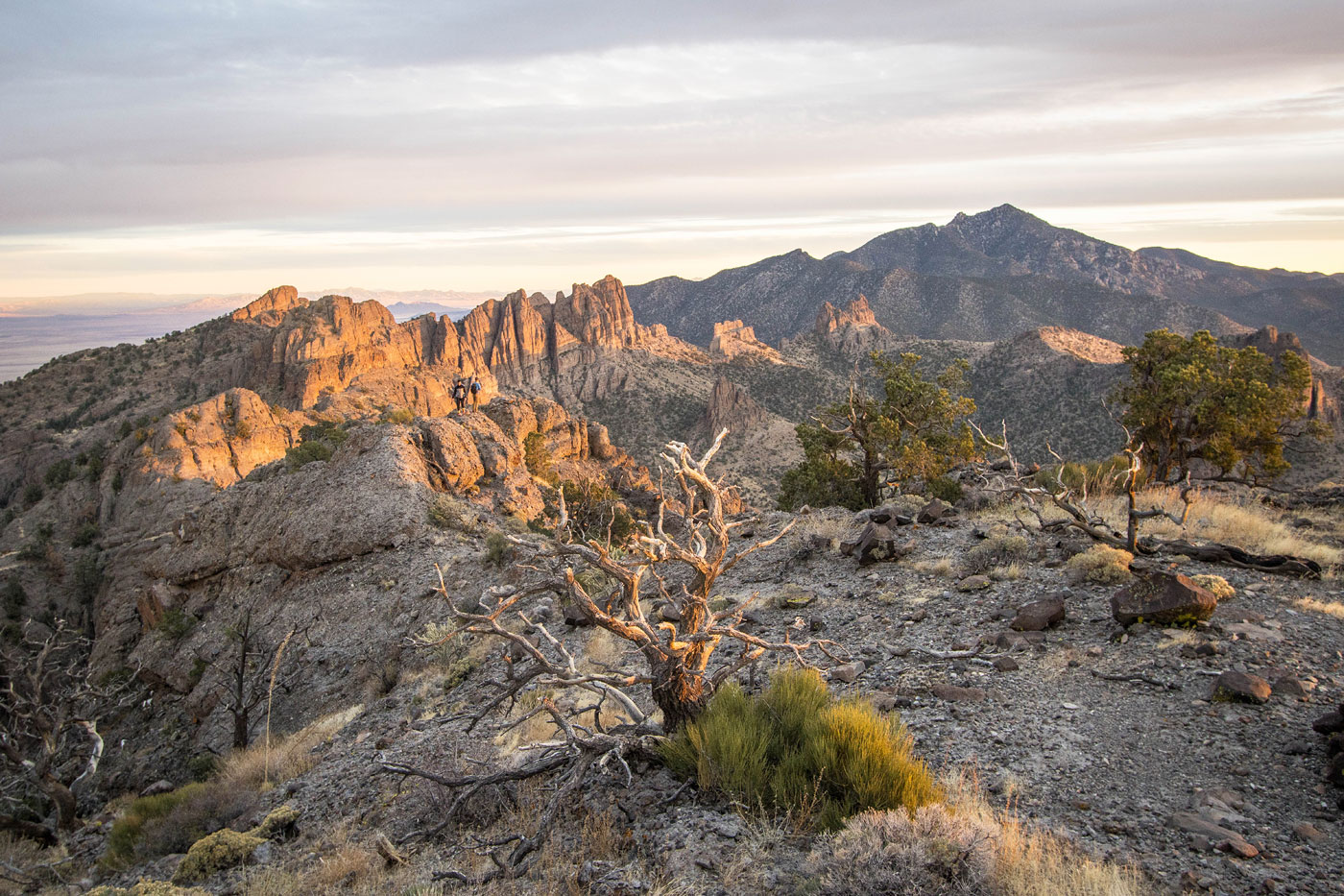 Hike Antelope Peak (Peak 5722) in Mount Tipton Wilderness Area BLM, Arizona - Stav is Lost