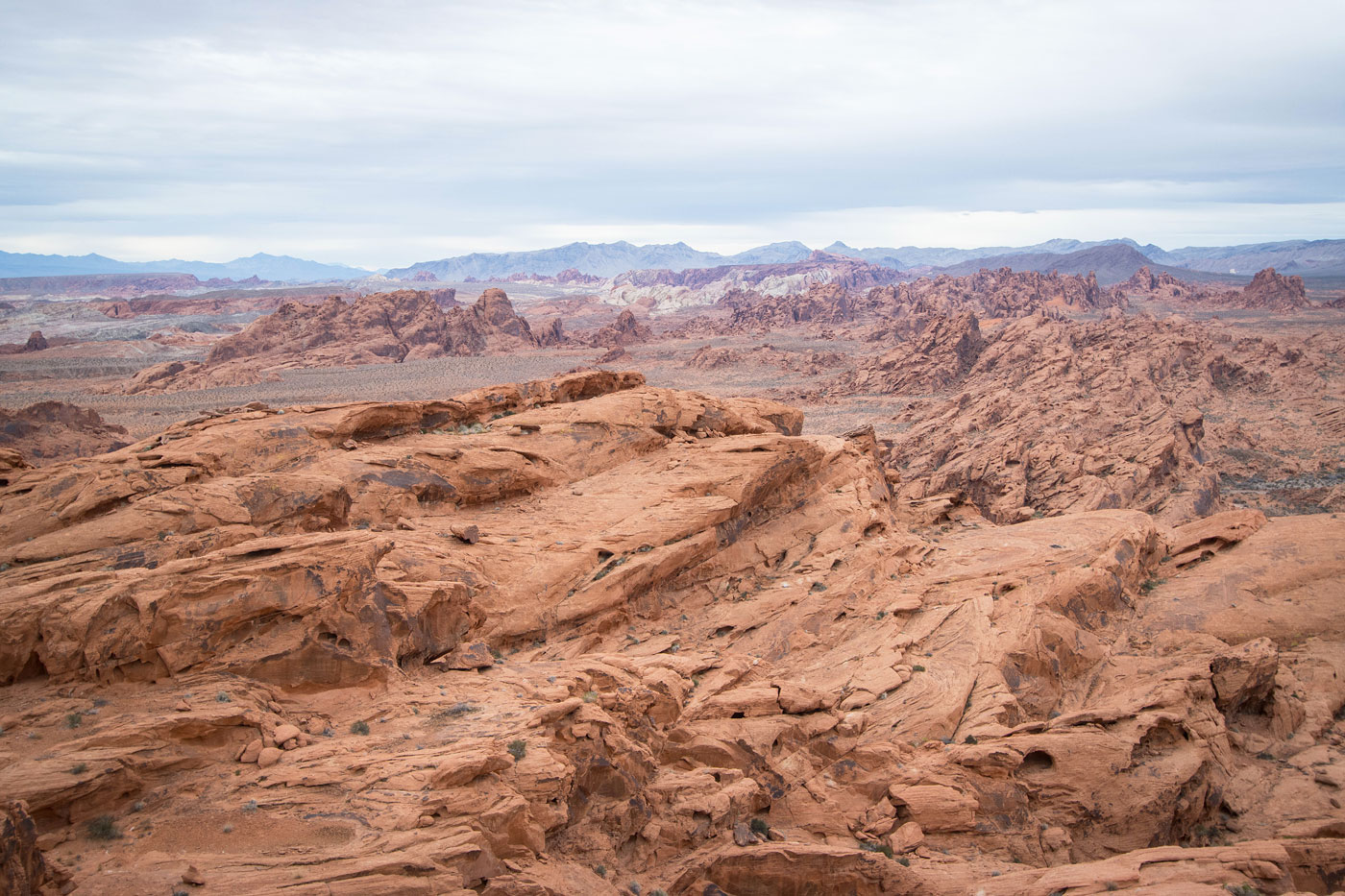Hike Sitting Monkey and Northern Valley of Fire in Valley of Fire State Park, Nevada - Stav is Lost