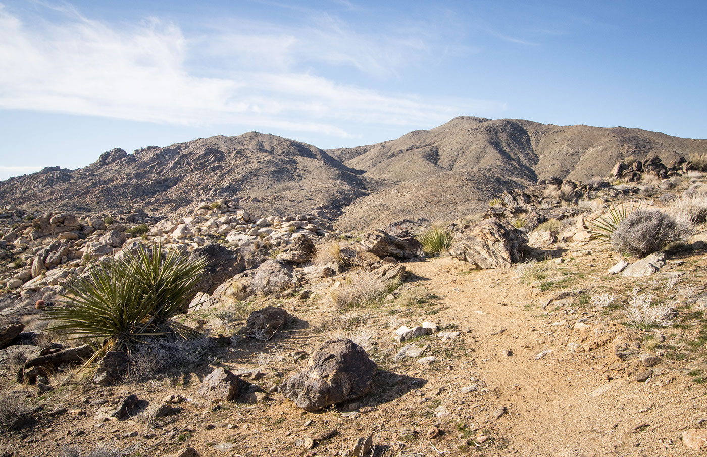 Hike Quail Mountain via Lang Mine in Joshua Tree National Park, California - Stav is Lost