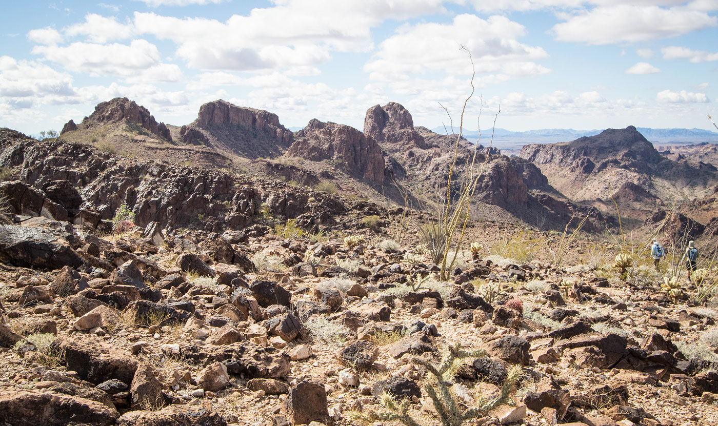 Hike Garden Benchmark and Southern Castle Dome Mountains in Kofa National Wildlife Refuge, Arizona - Stav is Lost