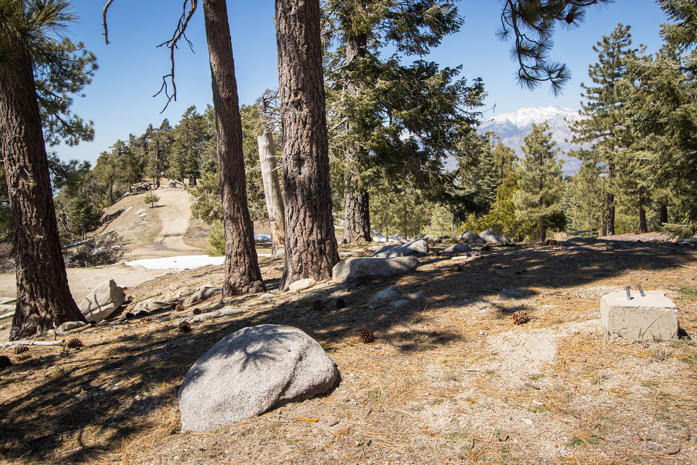 Hike Thomas Mountain via Ramona Trail in San Bernardino National Forest, California - Stav is Lost