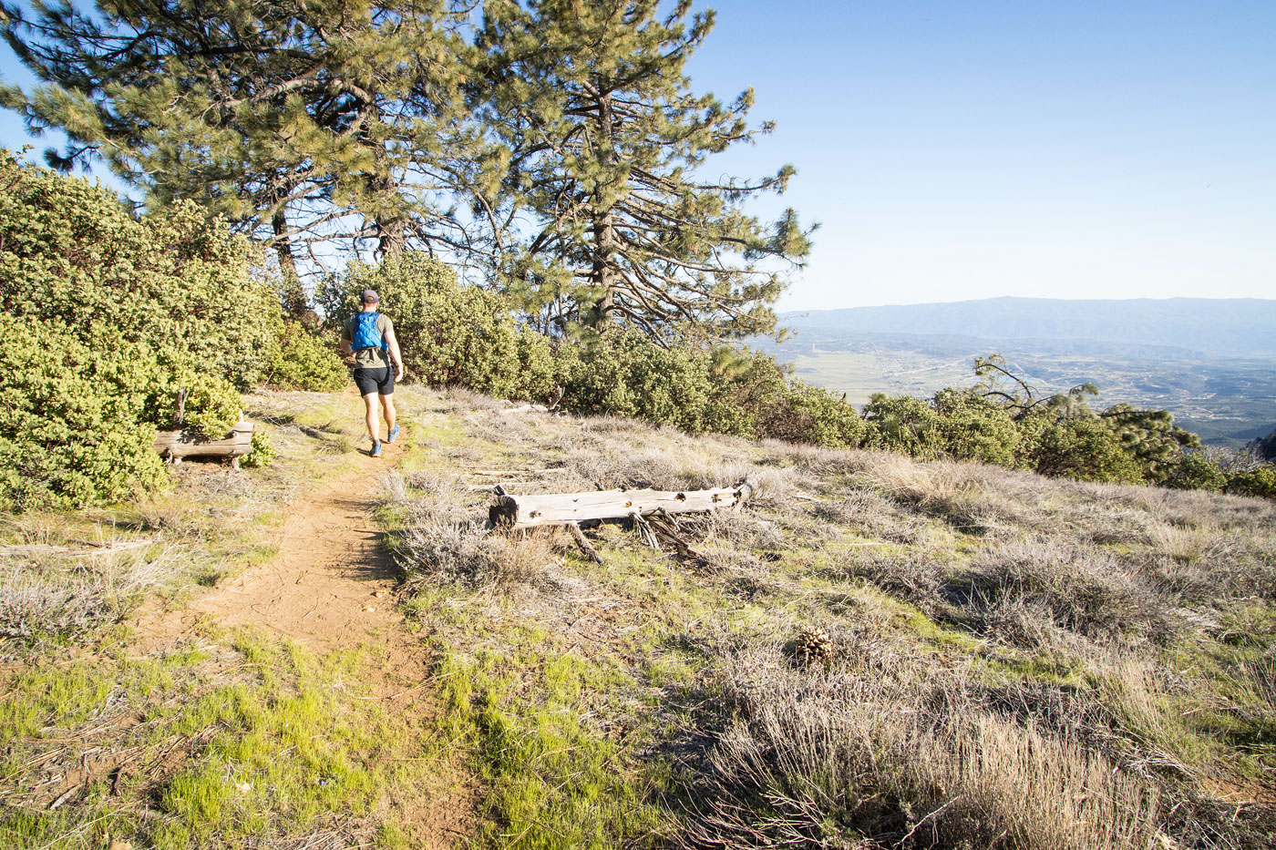 Hike Cahuilla Mountain in San Bernardino National Forest, California - Stav is Lost