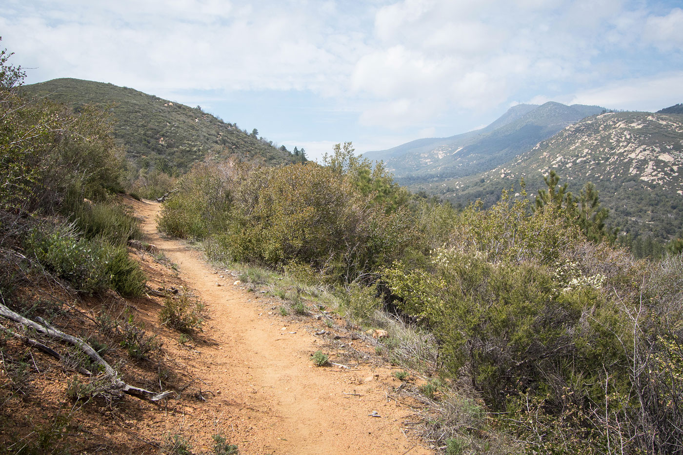 Hike Pine Ridge High Point and Green Valley Falls in Cuyamaca Rancho State Park, California - Stav is Lost
