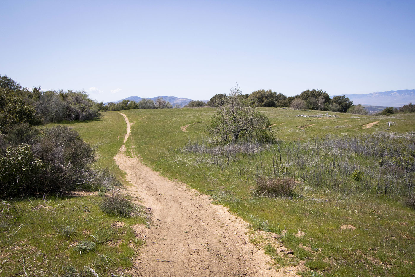 Grass Mountain via Pacific Crest Trail in Angeles National Forest, CA