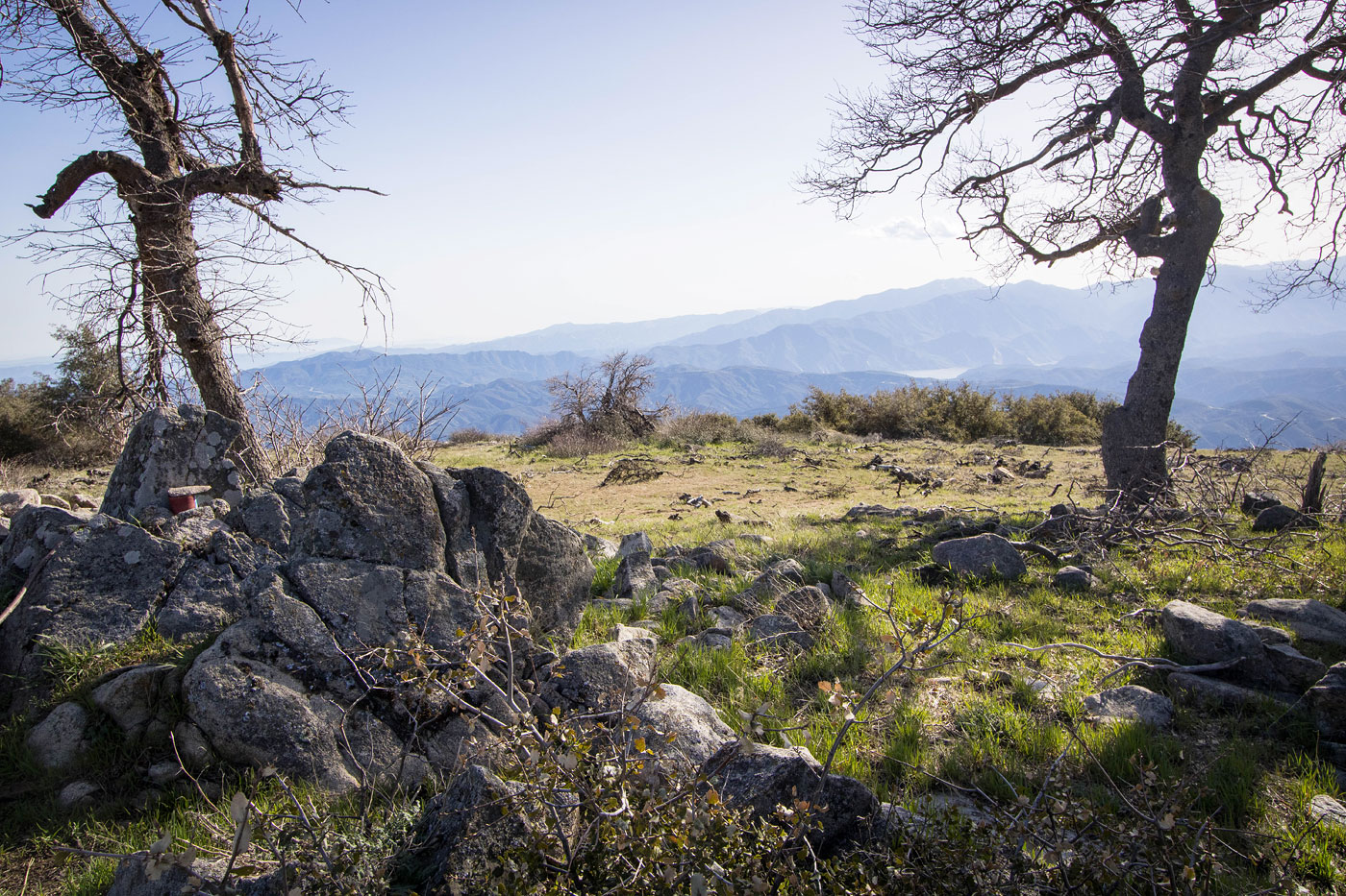 Hike Liebre Mountain via Pacific Crest Trail in Angeles National Forest, California - Stav is Lost