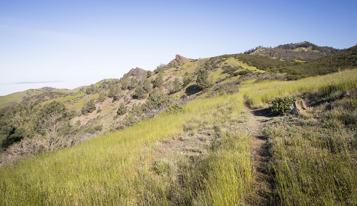 Hike Ranger Peak from Chicken Springs in Los Padres National Forest, California - Stav is Lost