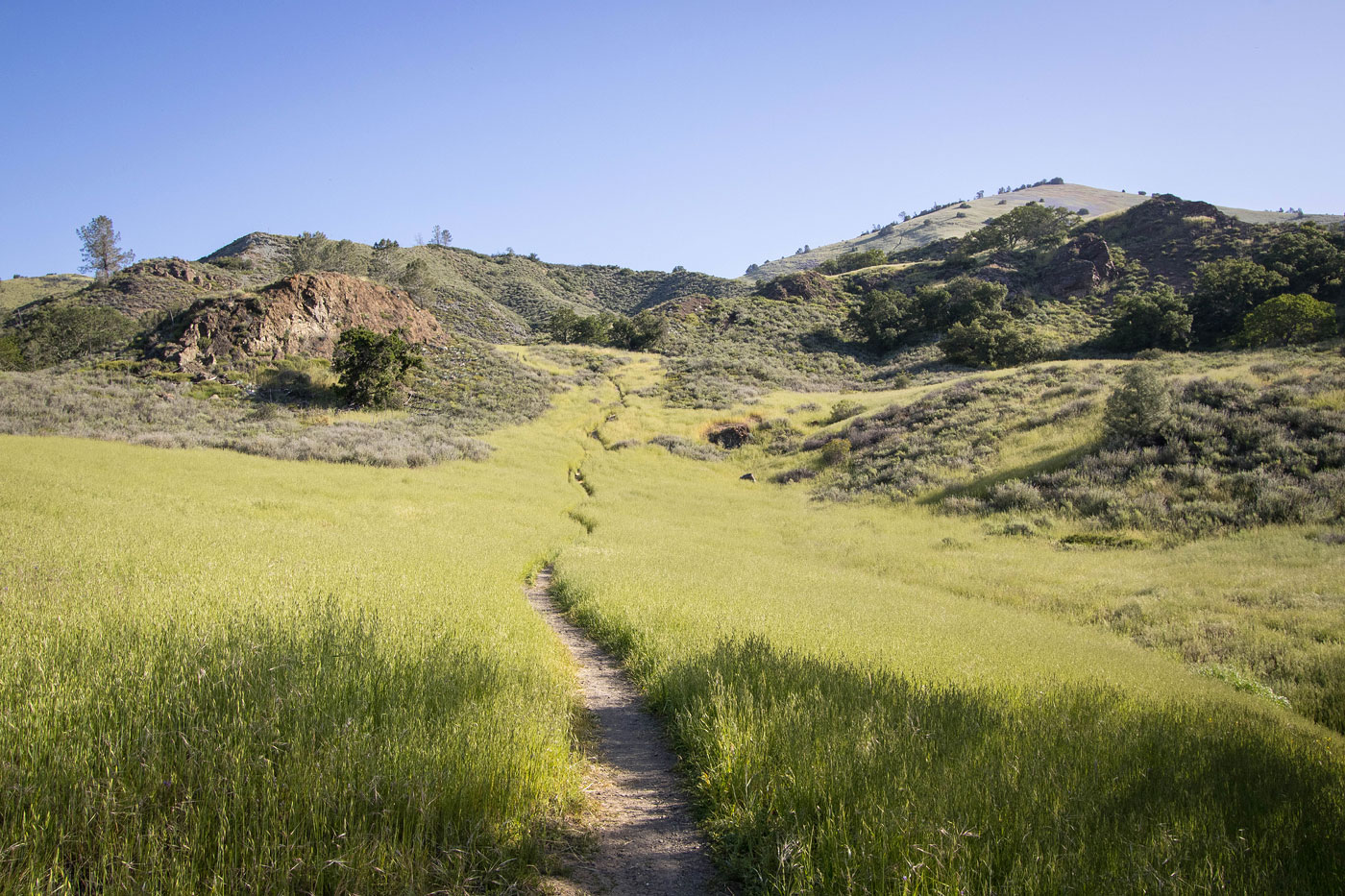 Hike Zaca Peak via Grass Mountain Trail in Los Padres National Forest, California - Stav is Lost
