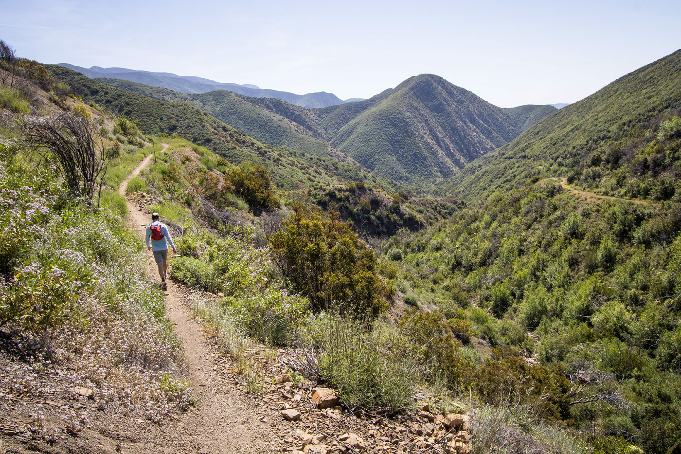 Hike Nordhoff Peak via Gridley Trail in Los Padres National Forest, California - Stav is Lost