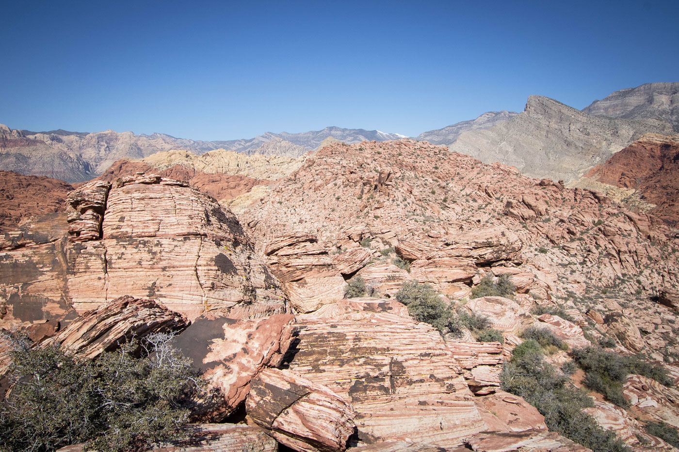 Hike Kraft Mountain and New Peak Loop in Red Rock Canyon National Conservation Area, Nevada - Stav is Lost