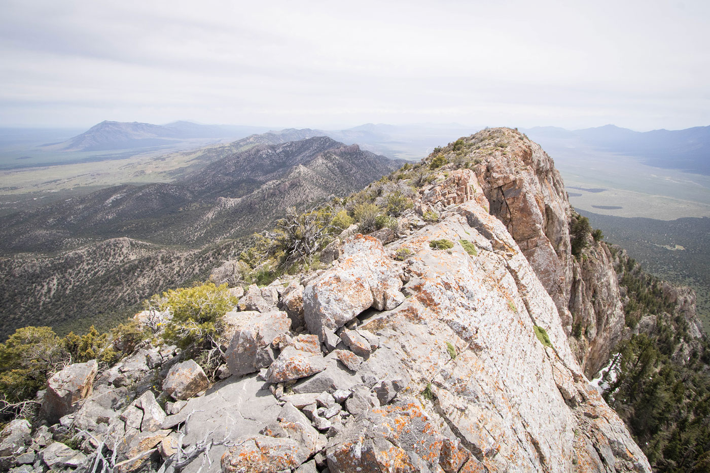 Hike Mount Montezuma from Patterson Pass in Schell Creek Range BLM, Nevada - Stav is Lost