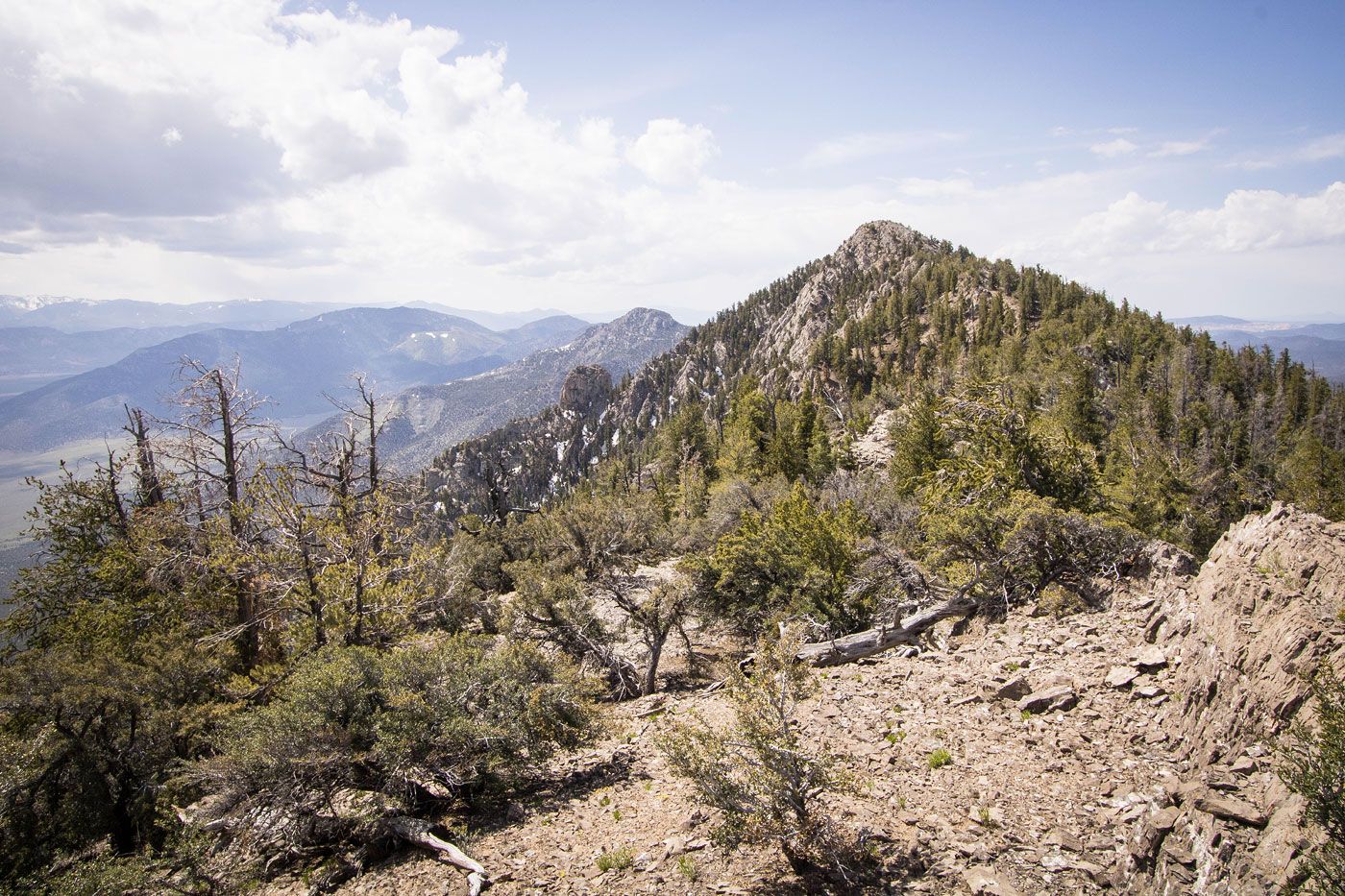 Hike Bristlecone Wilderness High Point in Bristlecone Wilderness BLM, Nevada - Stav is Lost