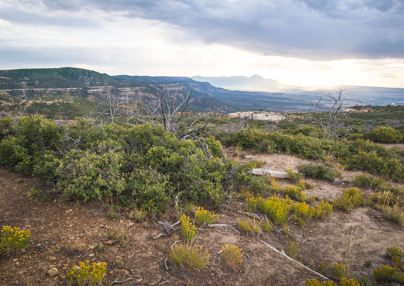 Hike Point Lookout and Prater Ridge in Mesa Verde National Park, Colorado - Stav is Lost