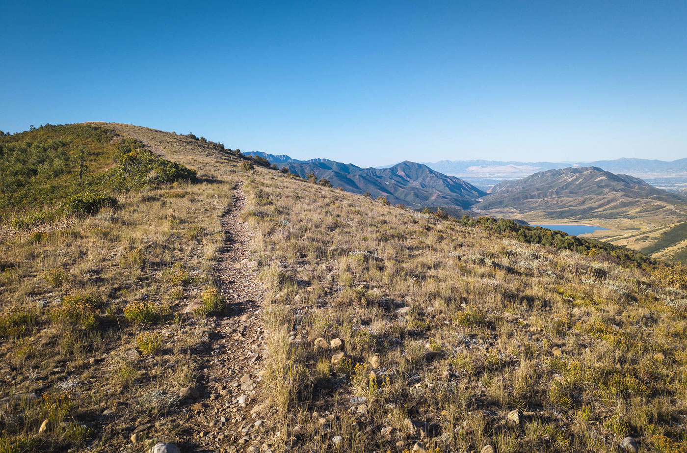 Hike Bald Mountain via Great Western Trail in Uinta-Wasatch-Cache National Forest, Utah - Stav is Lost