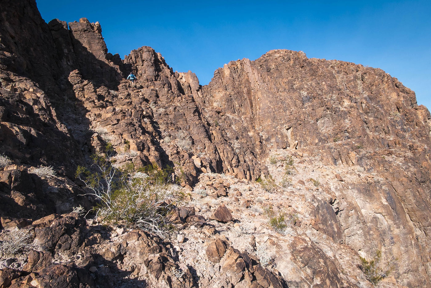 Hike Thumb Peak in Palo Verde Mountains Wilderness Area, California - Stav is Lost