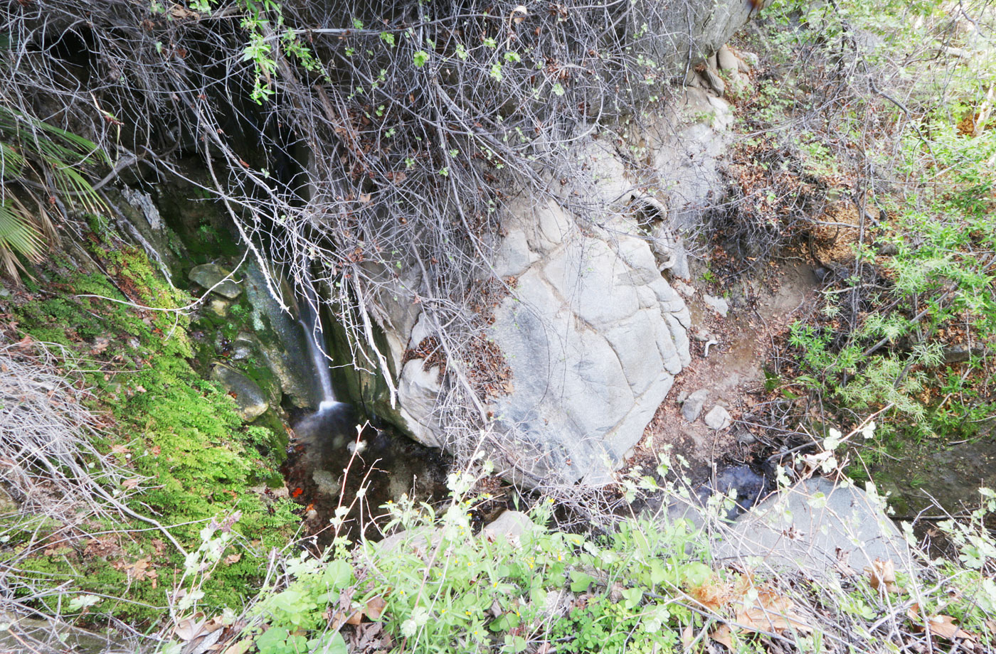 Hiking Maidenhair Falls via Hellhole Canyon in AnzaBorrego Desert