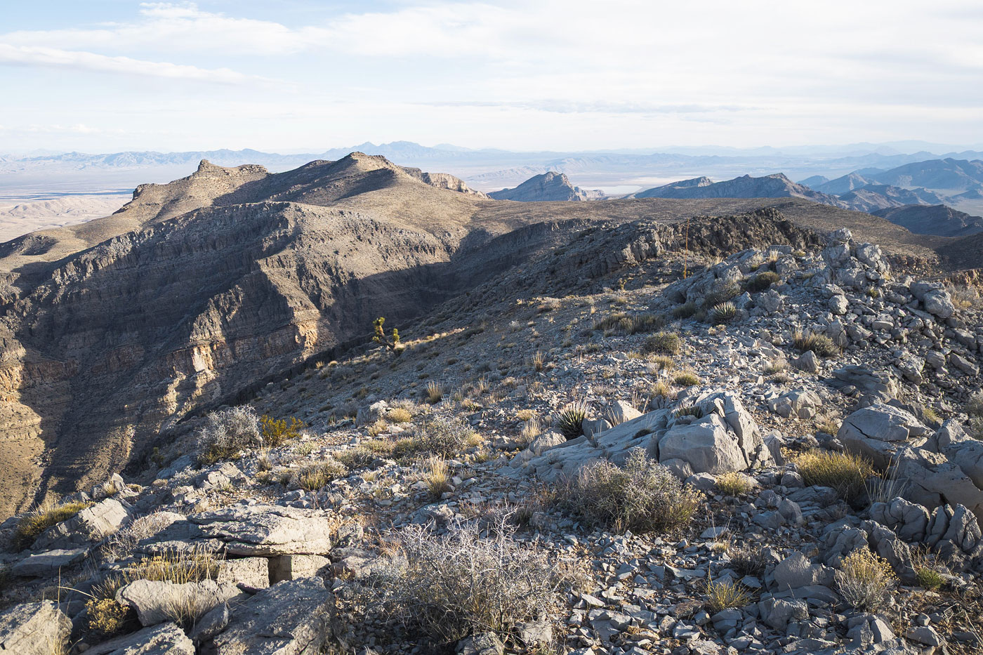 Hike South Arrow Peak and Pasture Mountain Loop in Arrow Canyon Wilderness Area BLM, Nevada - Stav is Lost