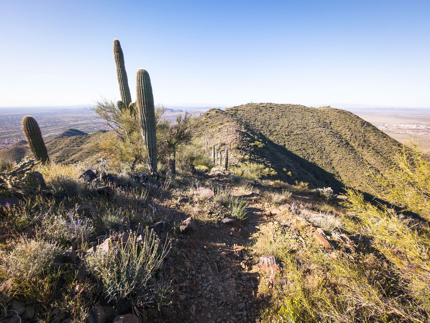 Hike Daisy Mountain in Arizona State Trust Land, Arizona - Stav is Lost