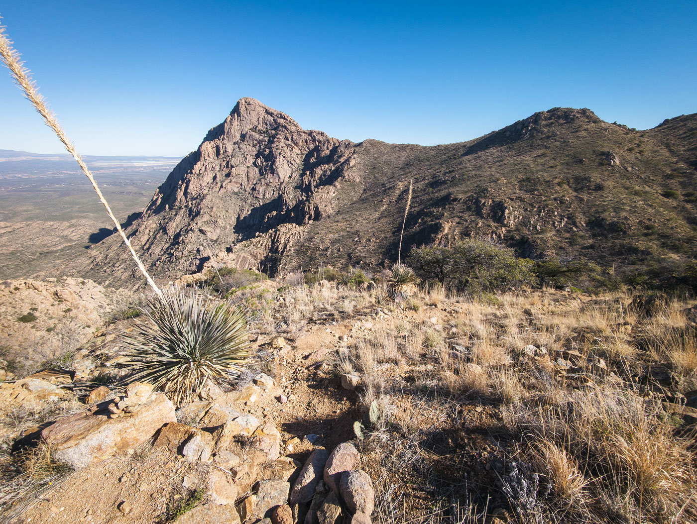 Elephant Head and Little Elephant Head in Coronado National Forest, AZ