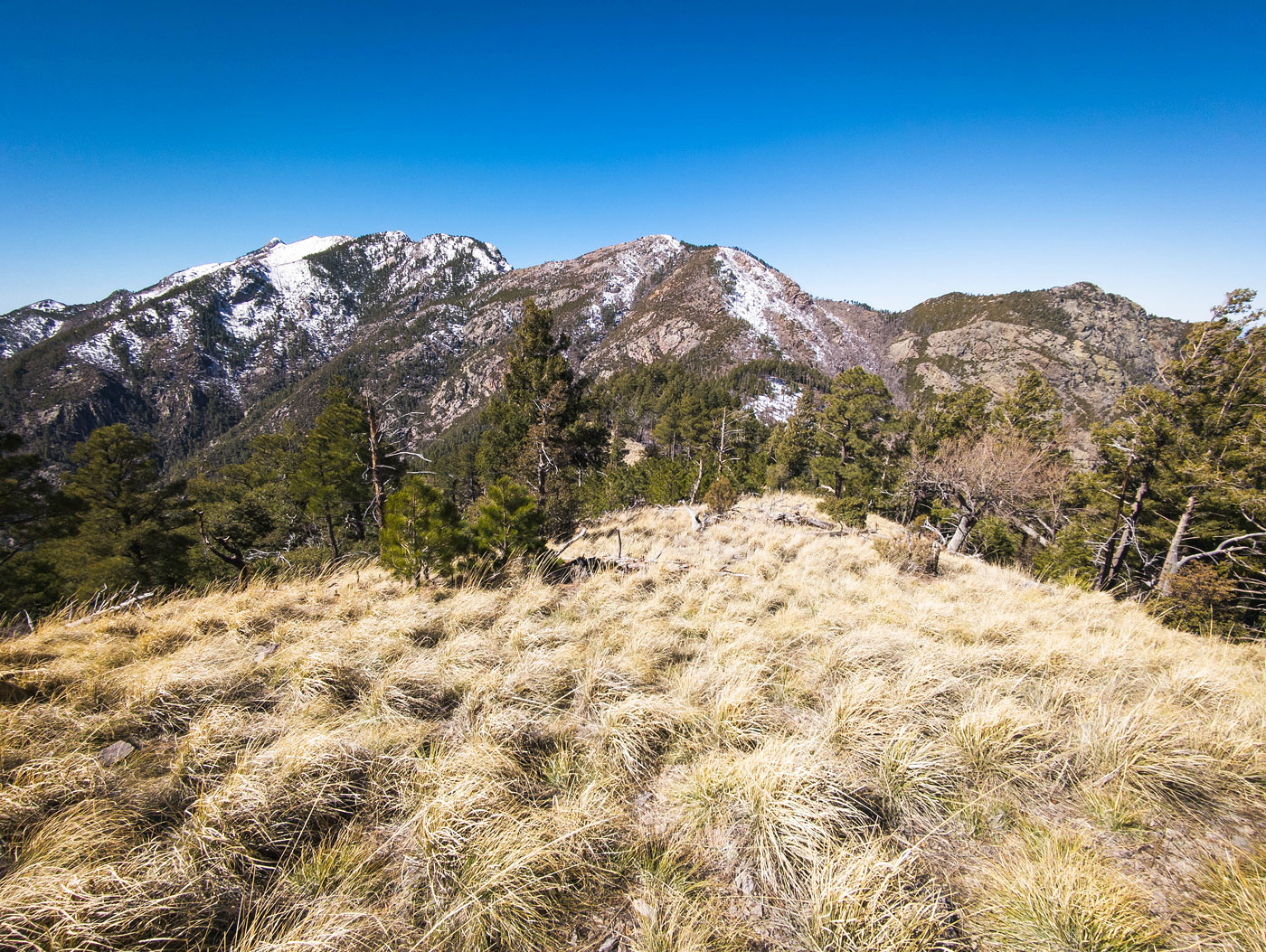 Hike Santa Rita Mountains Traverse (Florida Peak, Mount Wrightson, Mount Hopkins) in Coronado National Forest, Arizona - Stav is Lost